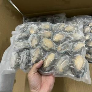 Bào ngư nguyên con