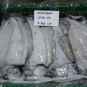 Mực nang nguyên con đông lạnh size nhỏ