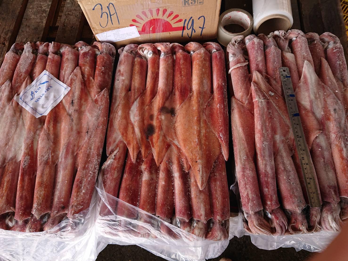 24328aa25670-4a14-4326-9f7f-a1f57b33deb8