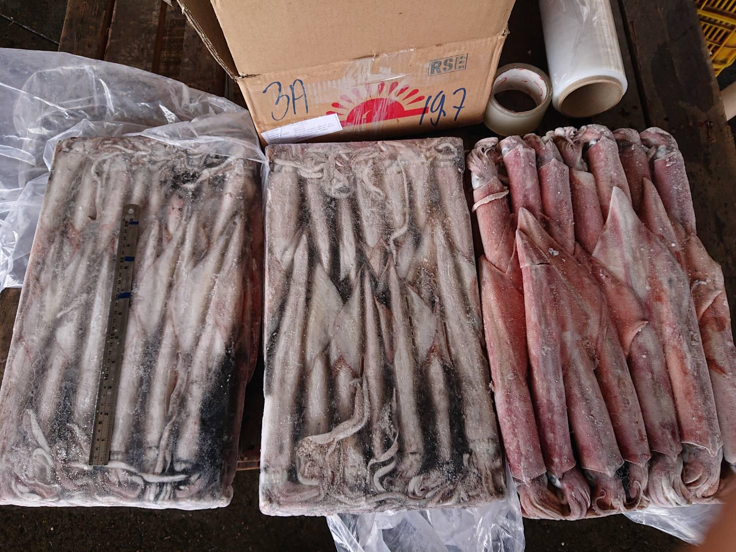 2941f9d637f2-bade-4876-892a-7faafae9a879