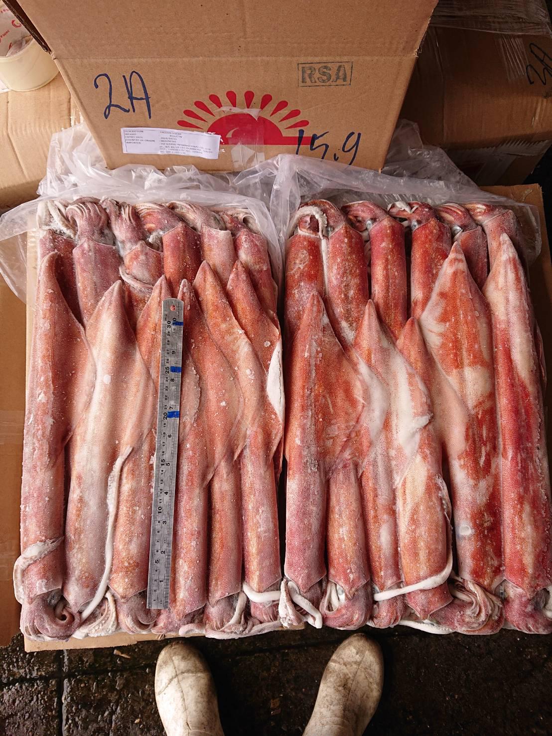 4583ea18852-3a76-403d-8fa6-b287a430b4bf