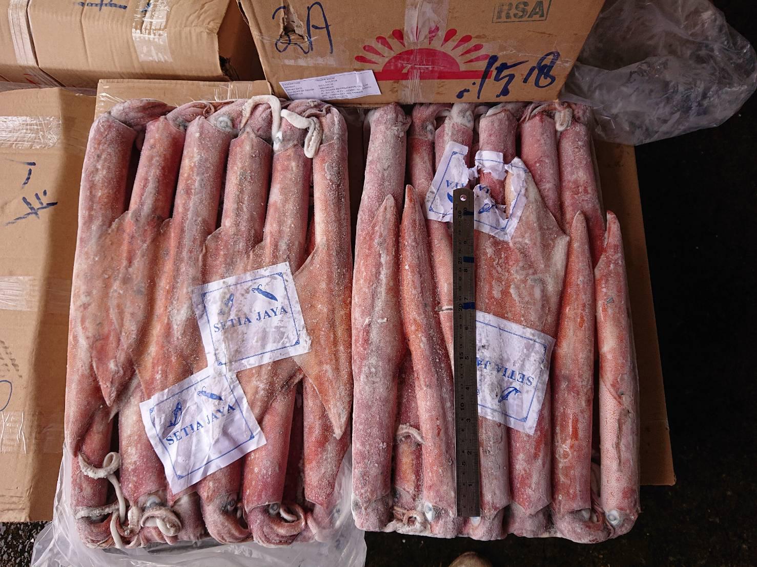 602358c4b53d-6d79-47be-b725-ac704482c55a