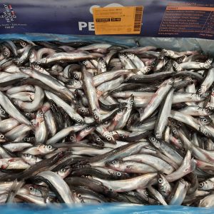 Cá trứng nguyên con