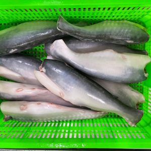 Cá basa nguyên con bỏ đầu bỏ nội tạng