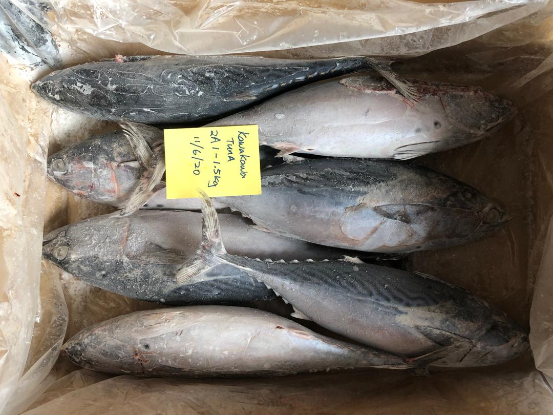 8424ef4efc05-6da5-415c-bb1f-5c229861eef1