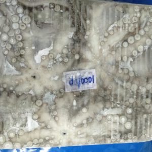 Bạch tuộc chân dài nguyên con